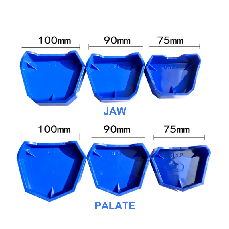 ชุดฐานแบบจำลองฟันซิลิโคน 2/6 ช - Teeth Whitening Trays บทวิจารณ์และราคา