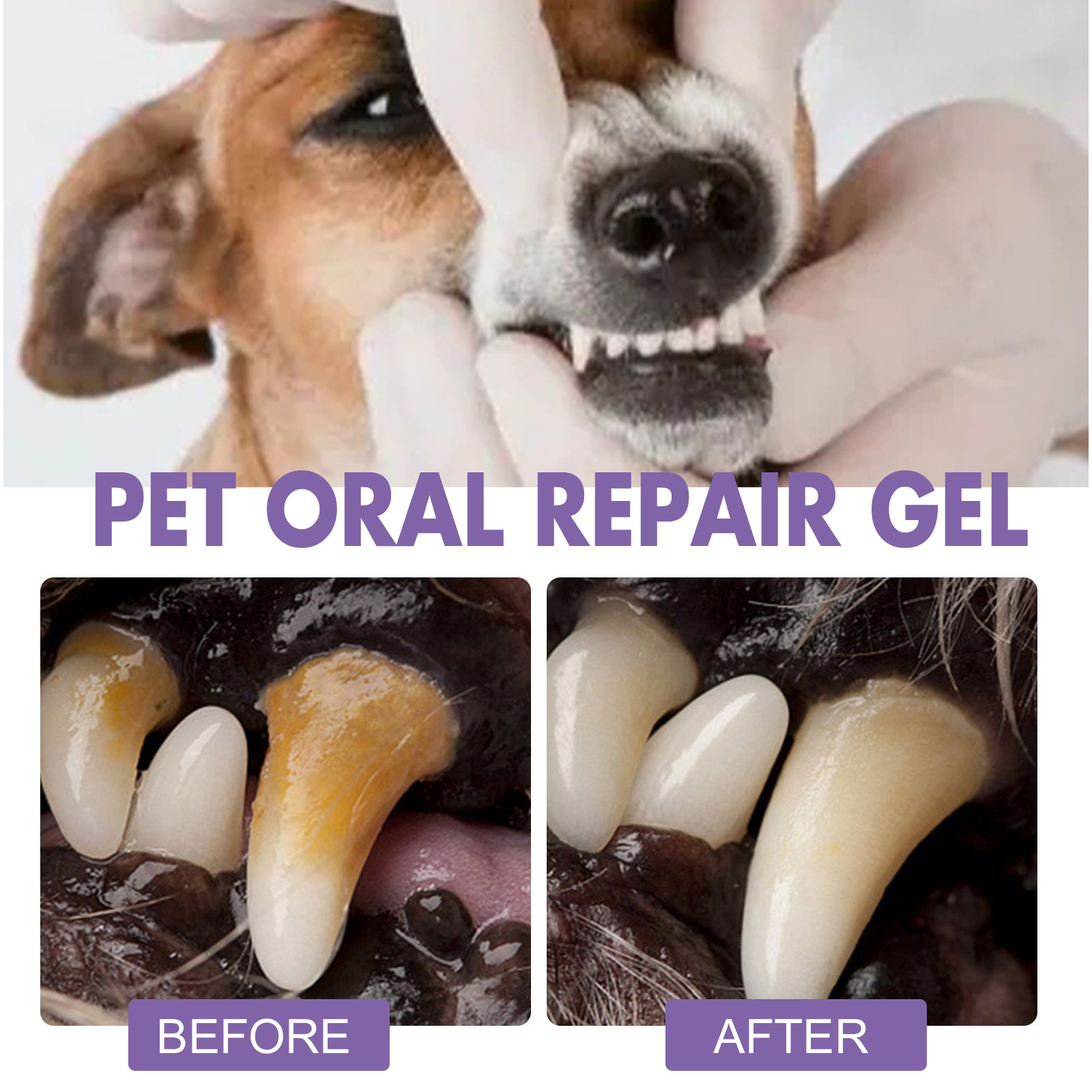 สัตว์เลี้ยง Oral Repair GEL Pu - Whitening Mouthwash บทวิจารณ์และราคา