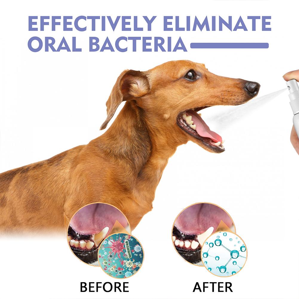 สเปรย์ทำความสะอาดช่องปากสัตว์เ - Whitening Mouthwash บทวิจารณ์และราคา